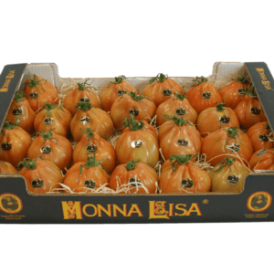 Tomates Monna Lisa 60x40x11