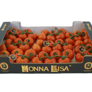 Tomates Monna Lisa 60x40x11