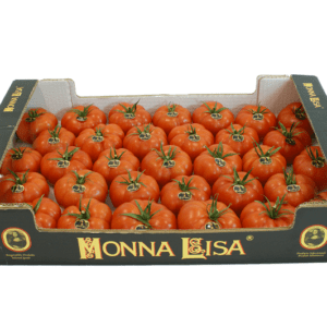 Tomates Monna Lisa 60x40x11