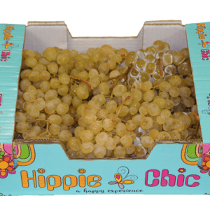 Uvas Aledo Hippie Chic 40x30x12