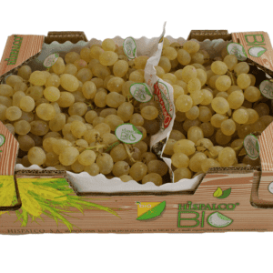 Uvas Aledo Hispalco Bio 40x30x12