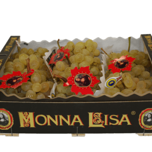 Uvas Aledo Monna Lisa 40x30x12
