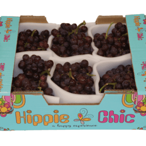 Uvas Candy Snaps Hippie Chic 40x30x14