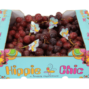 Uvas Candy Snaps Hippie Chic 40x30x14