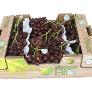 Uvas Flame Hispalco Bio 40x30x14
