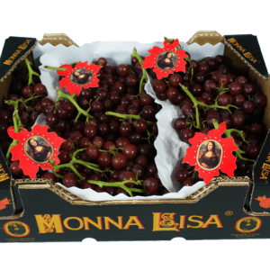 Uvas Flame Monna Lisa 40x30x12